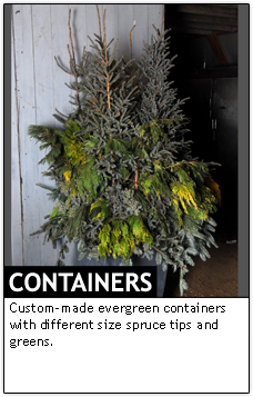 Containers