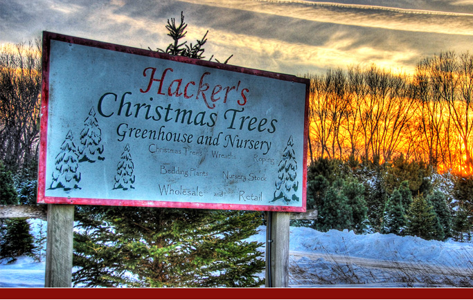 Hackers :: Tree Farm | Green House | Nursery - Holiday